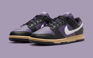 The Next Nature Nike Dunk Low Appears In 'Dark Raisin' | House of